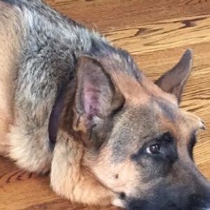 Meet your Posher, Era